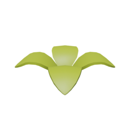 Plant Small